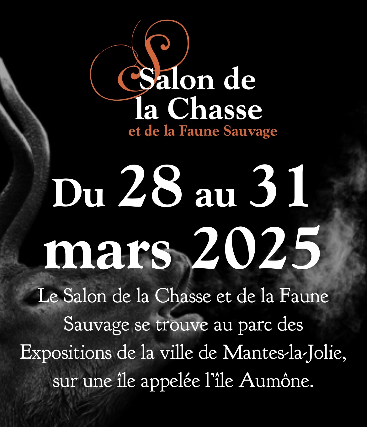 Salon de la Chasse et de la Faune Sauvage - Louise Groux - Artiste Peintre